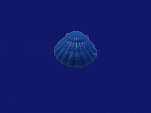 Figurita concha azul