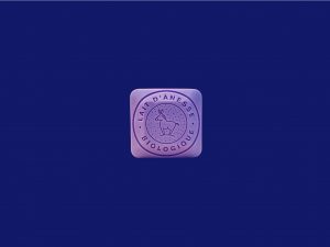 Jabón de leche de burra fragancia lavanda 30g