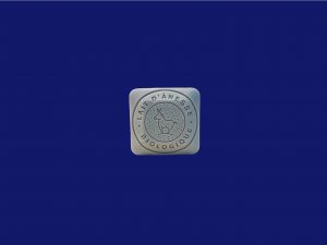 Jabón de leche de burra fragancia flor de algodón  30g