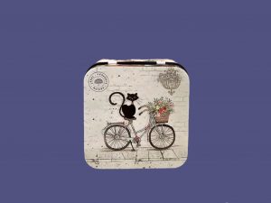Caja metálica 110g o redondo gato en una bicicleta