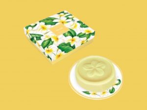 cofre jabón y jabonera de monoi